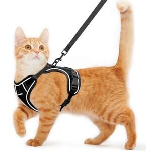 XS Cat Harness and Leash for Walking, Harness and Seat belt for car